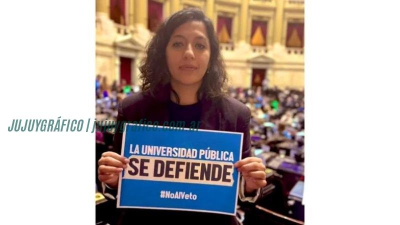 El PJ de Jujuy en la cuerda floja. Desaparecerá el peronismo en la provincia 3 El PJ de Jujuy en la cuerda floja. Desaparecerá el peronismo en la provincia 3